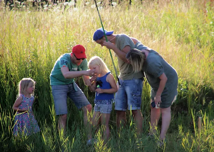 Minicamping Falkenborg *