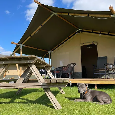 Minicamping Falkenborg * Beltrum