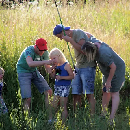 Minicamping Falkenborg *